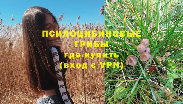 mix Абинск