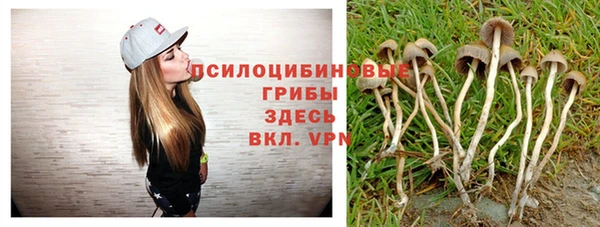 прущая мука Абаза