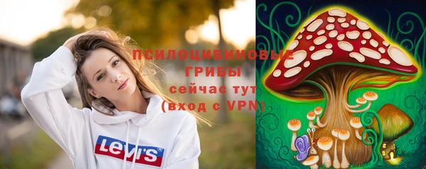 мяу мяу кристалл Няндома
