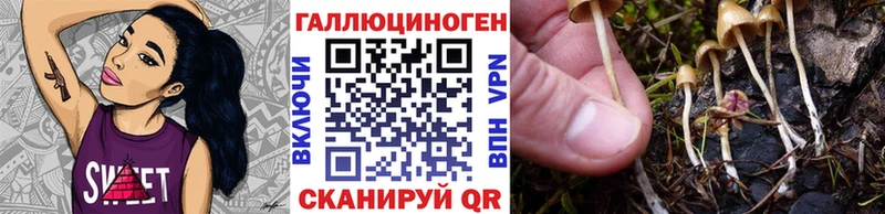 хочу наркоту  Чекалин  Псилоцибиновые грибы мухоморы 